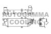 AUTOGAMMA 107104 Intercooler, charger